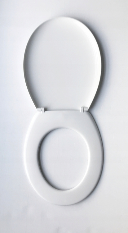 a508706f4f869cc79fa21c037260