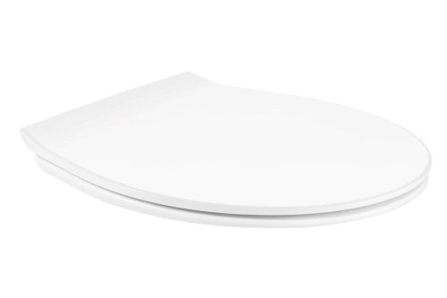 pol_pl_UNIWERSALNA-DESKA-WC-SLIM-Z-DUROPLASTU-WOLNOOPADAJACA-Z-WYPINANNIEM-JEDNYM-PRZYCISKIEM-10011637_1 (1).jpg