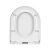 2500_3 (1).png